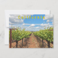 Grapevines