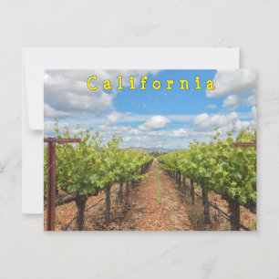 Grapevines  postcard