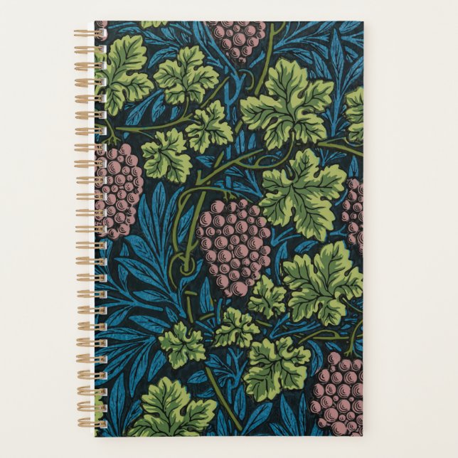  Grapevines with clusters of pink grapes  Planner (Front)