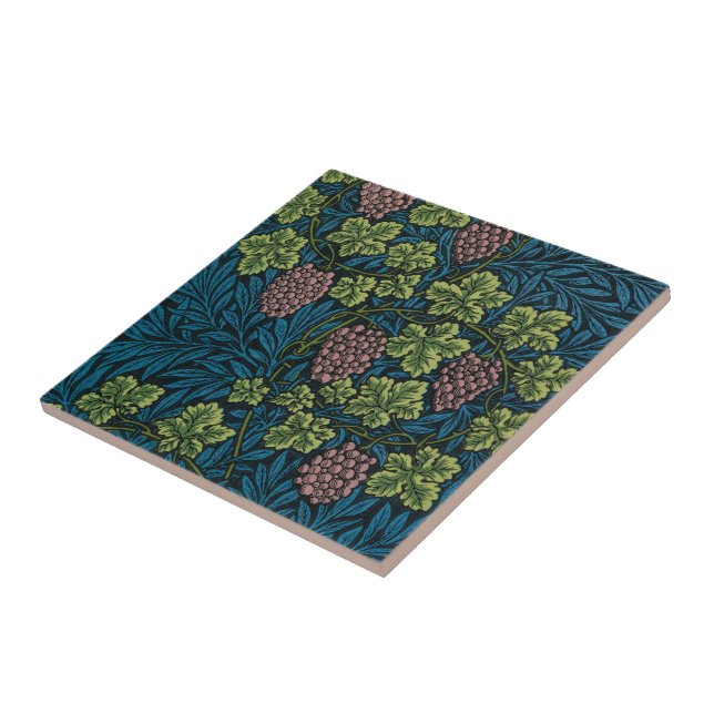  Grapevines with clusters of pink grapes  Tile (Side)