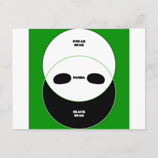 Graphic Bears Postcard