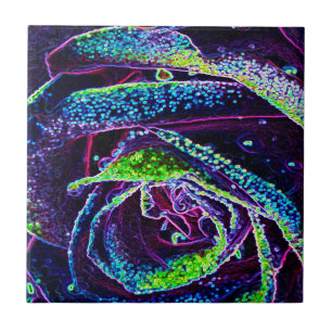 Graphic Black White Blue and Green Rose Detail Tile