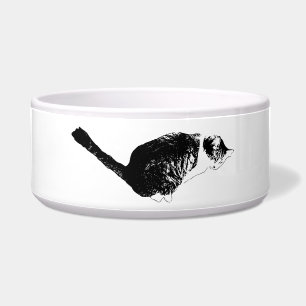 Graphic Ease, Steady Sit
