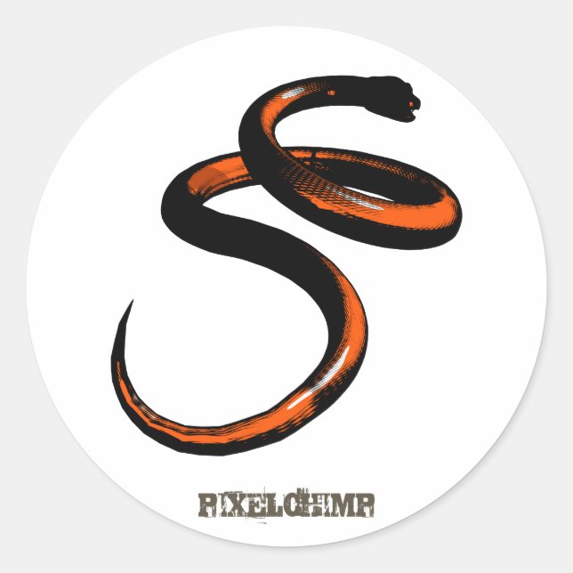 Graphic Snake Orange Classic Round Sticker (Front)