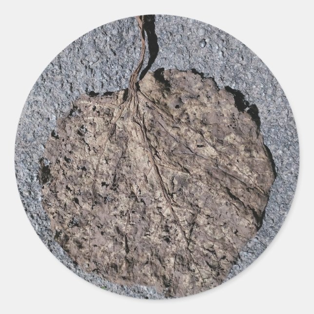 Graphic/Textured Classic Round Sticker (Front)