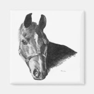 Graphite Horse Head Magnet