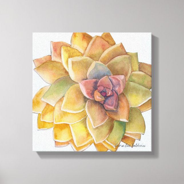 Graptopetalum Watercolor by Debra Lee Baldwin Canvas Print (Front)