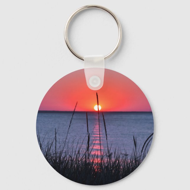 Gräser im Abendlicht - Insel Rügen Key Ring (Front)