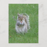 Grasping Squirrel
