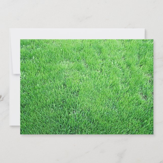 Grass (Front)