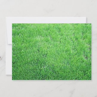 Grass