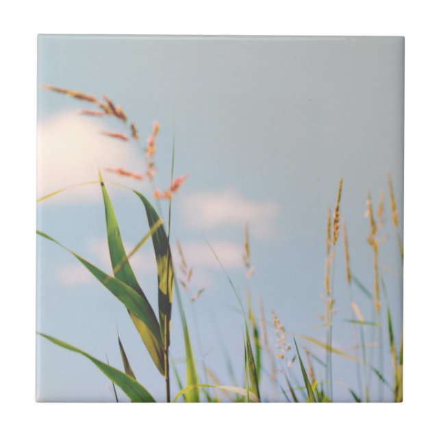 Grass Blue Sky Field Meadow Nature Tile (Front)