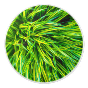 Grass Ceramic Knob