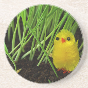 grass chick coaster