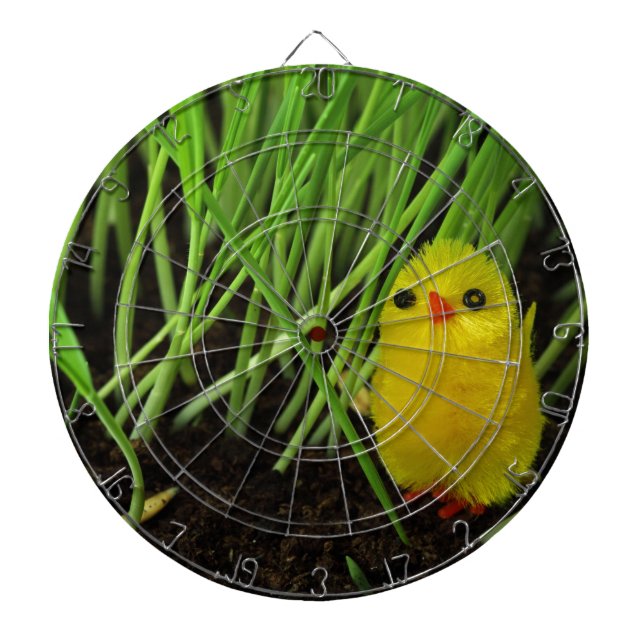 grass chick dartboard (Front)