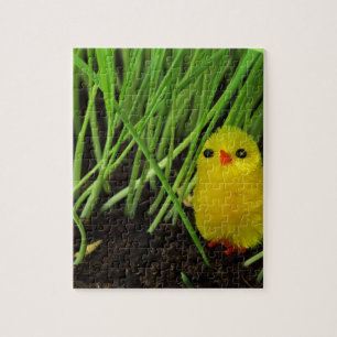 grass chick jigsaw puzzle