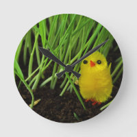 grass chick