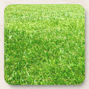 Grass Coaster