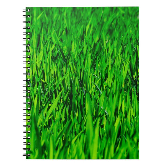 Grass field meadow lawn growth notebook (Front)