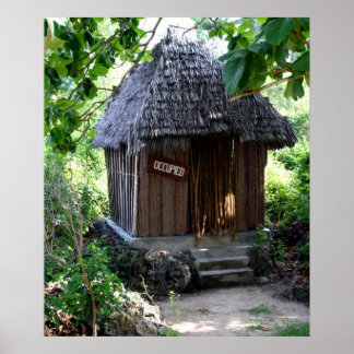 Grass Hut Poster