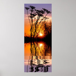 Grass in the sunset above water with reflection poster