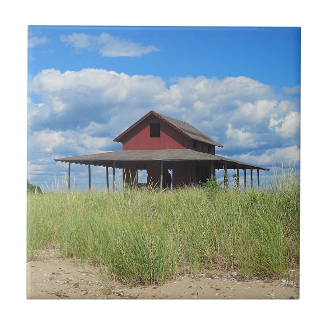 Grass Island Tile (Front)