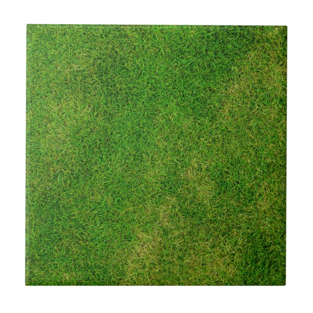 Grass Lawn Tile (Front)