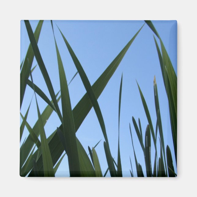 Grass Magnet (Front)