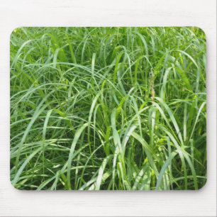 grass mouse pad