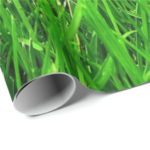 grass pattern, WRAP PAPER ,