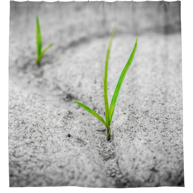 Grass pavement brick poetry stone shower curtain (Front)