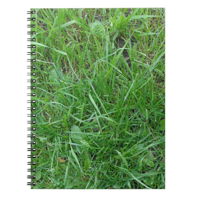 Grass Photo Notebook (Front)