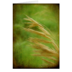Grass Seed All Occassion Greeting Card