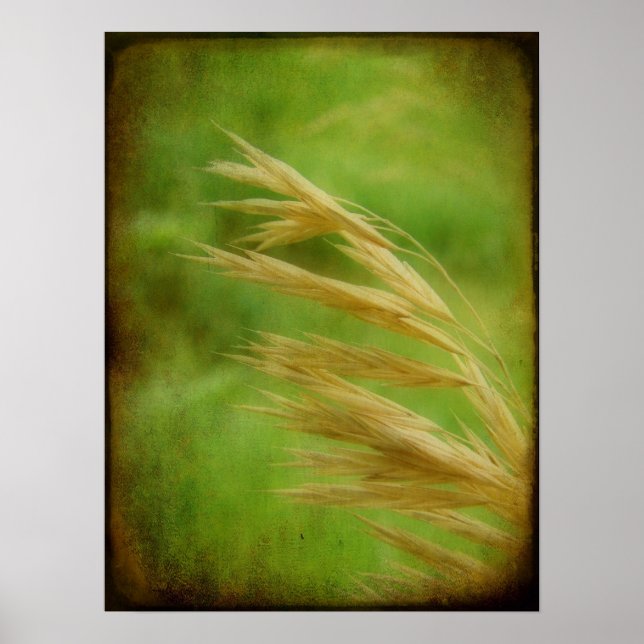 Grass Seed Poster (Front)