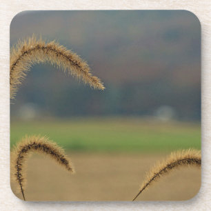Grass Seed Stalks Coaster