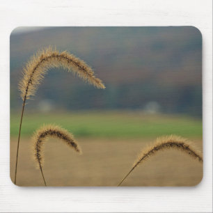 Grass Seed Stalks Mouse Pad