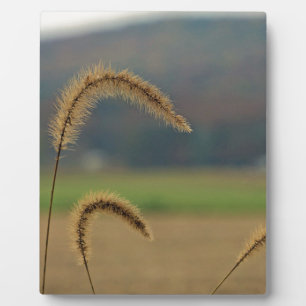 Grass Seed Stalks Plaque