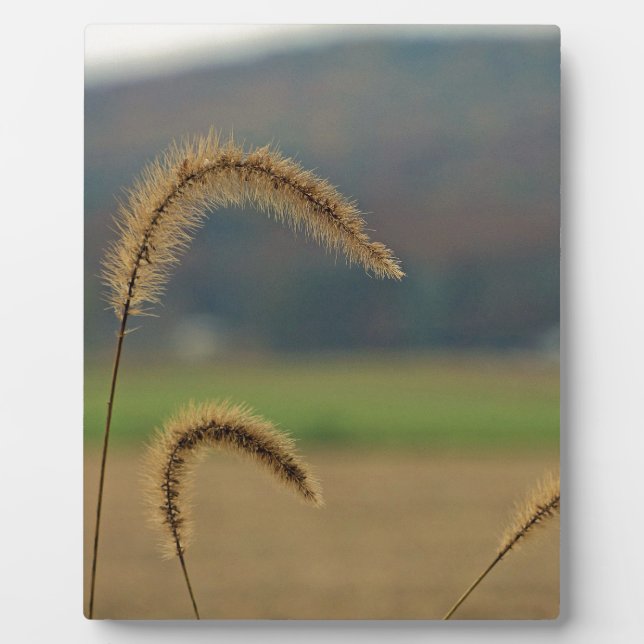 Grass Seed Stalks Plaque (Front)