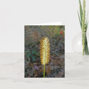 Grass Seedhead Note Card