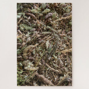Grass seeds drying jigsaw puzzle