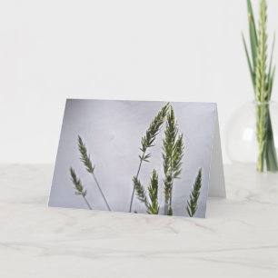 Grass Seeds Note Card