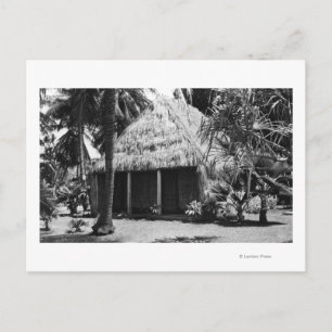 Grass Shack on Beach - Hawaii Island Postcard