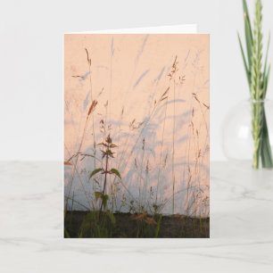 Grass Shadows Card