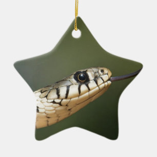 Grass Snake Ceramic Tree Decoration