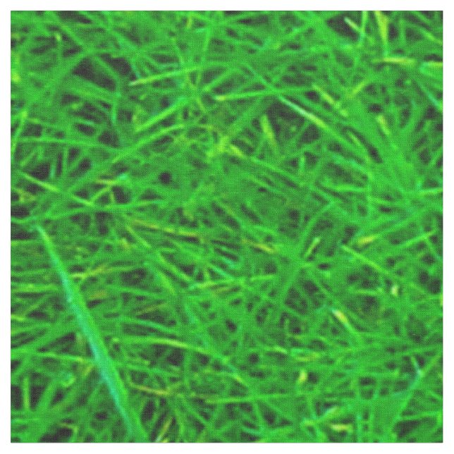 Grass Texture Fabric (Close Up)