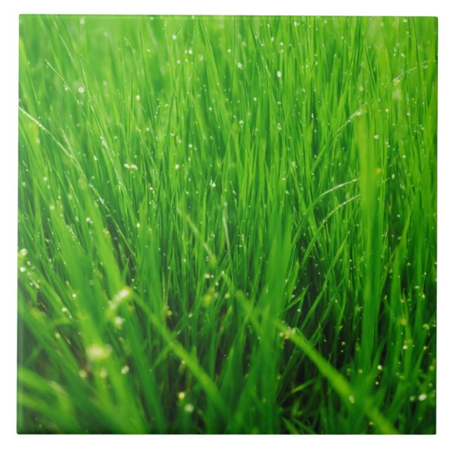 Grass Tile (Front)