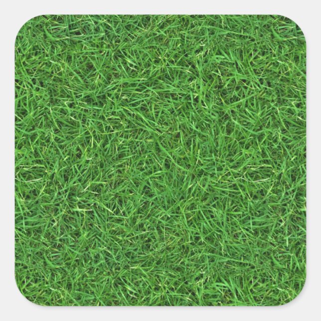 grass turf square sticker (Front)