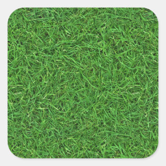 grass turf square sticker