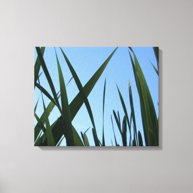 Grass Wrapped Canvas Wall Decor (Front)