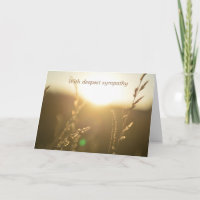 Grasses in sunlight - With deepest sympathy
